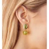 Pendientes Carey Bolay